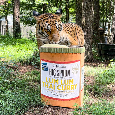 Mila having fun at Carolina Tiger Rescue with a giant cardboard "jar" of Thailand-inspired Lum Lum Thai Curry nut butter. 