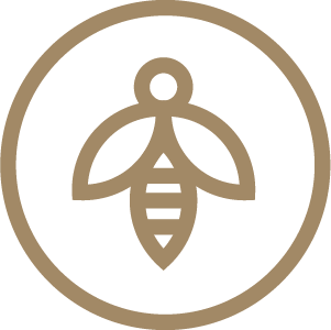 Bee friendly almonds icon