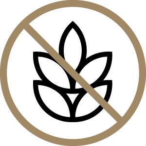 gluten free icon