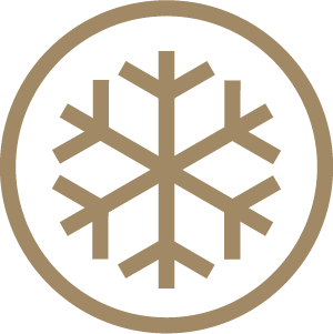 snowflake  icon