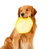 Golden retriever holding a yellow hive pet disc toy in its mouth