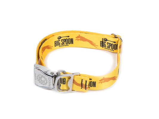 Big Spoon Roasters Cycle Dog collar